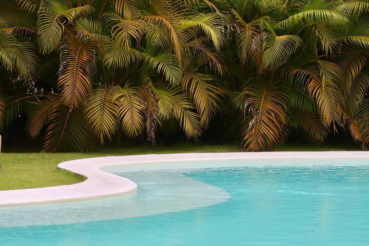 Solea Villa Tropical Santa Marta  Exterior photo
