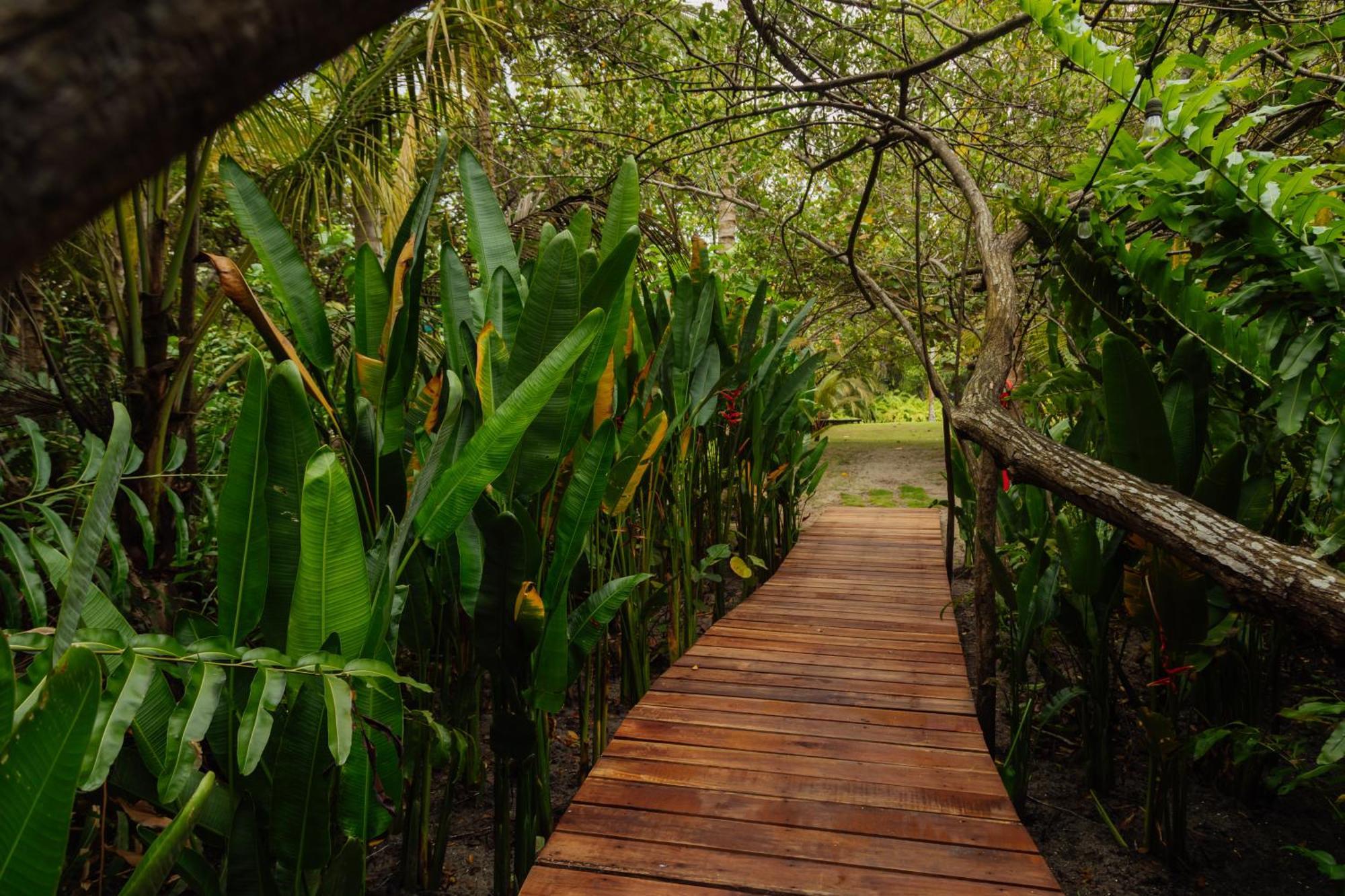 Solea Villa Tropical Santa Marta  Exterior photo