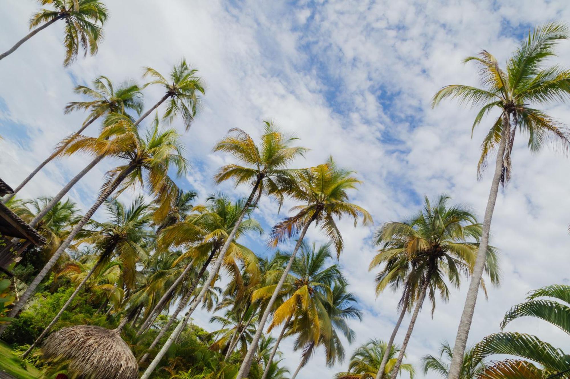 Solea Villa Tropical Santa Marta  Exterior photo